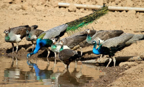 1467791177_1bhrt 2.jpg